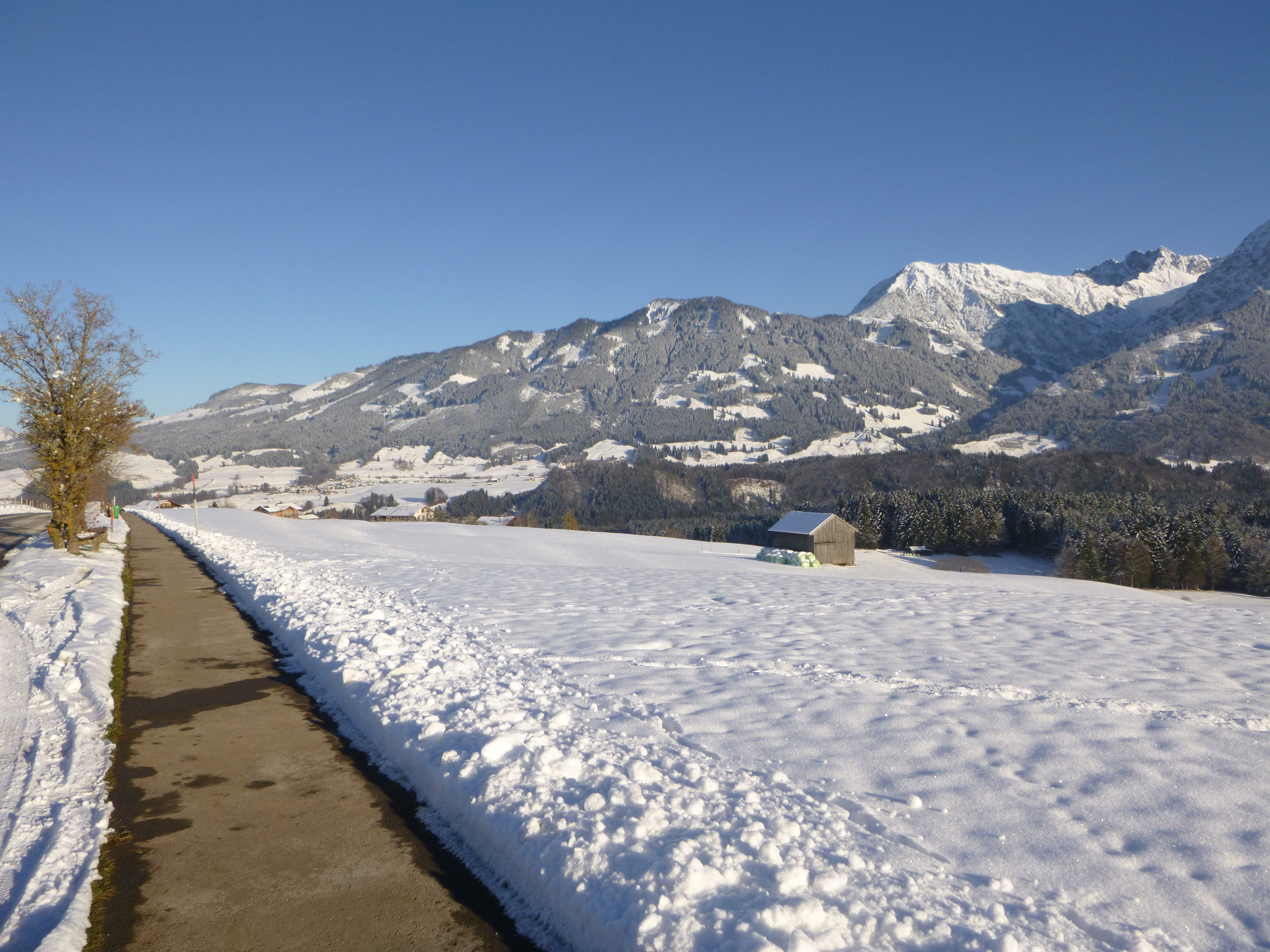 Winter Obermaiselstein (8)